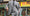 Image to render