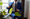 Image to render